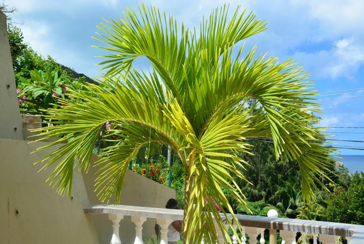 Villa Anse La Blague Baie Sainte Anne Exteriör bild