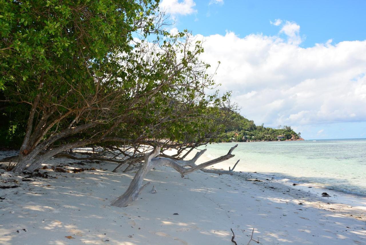 Villa Anse La Blague Baie Sainte Anne Exteriör bild
